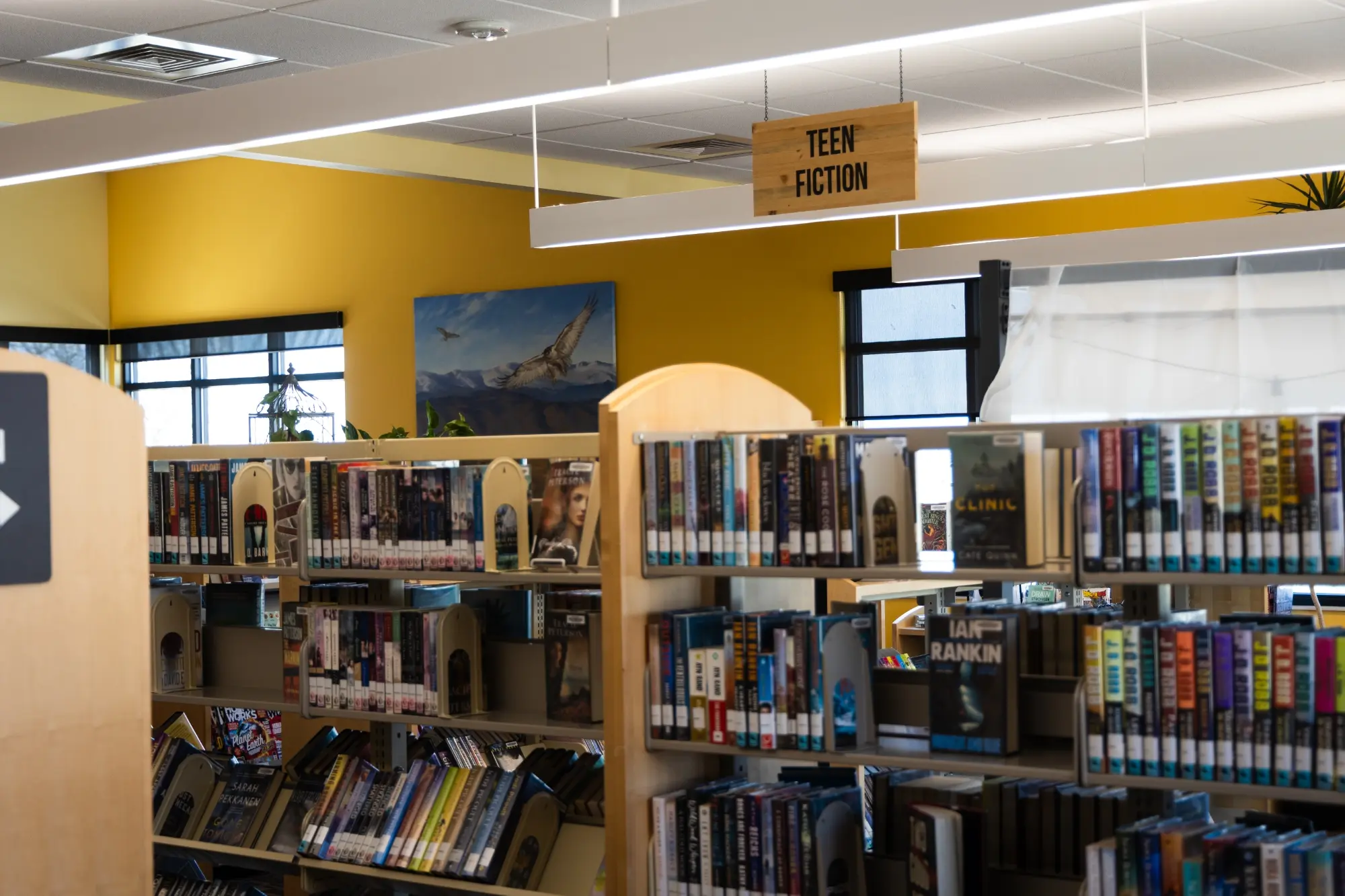 Hudson’s reading area includes an electric fireplace and a small, turfed reading nook. Photo: Chase McCleary, Rocky Mountain PBS