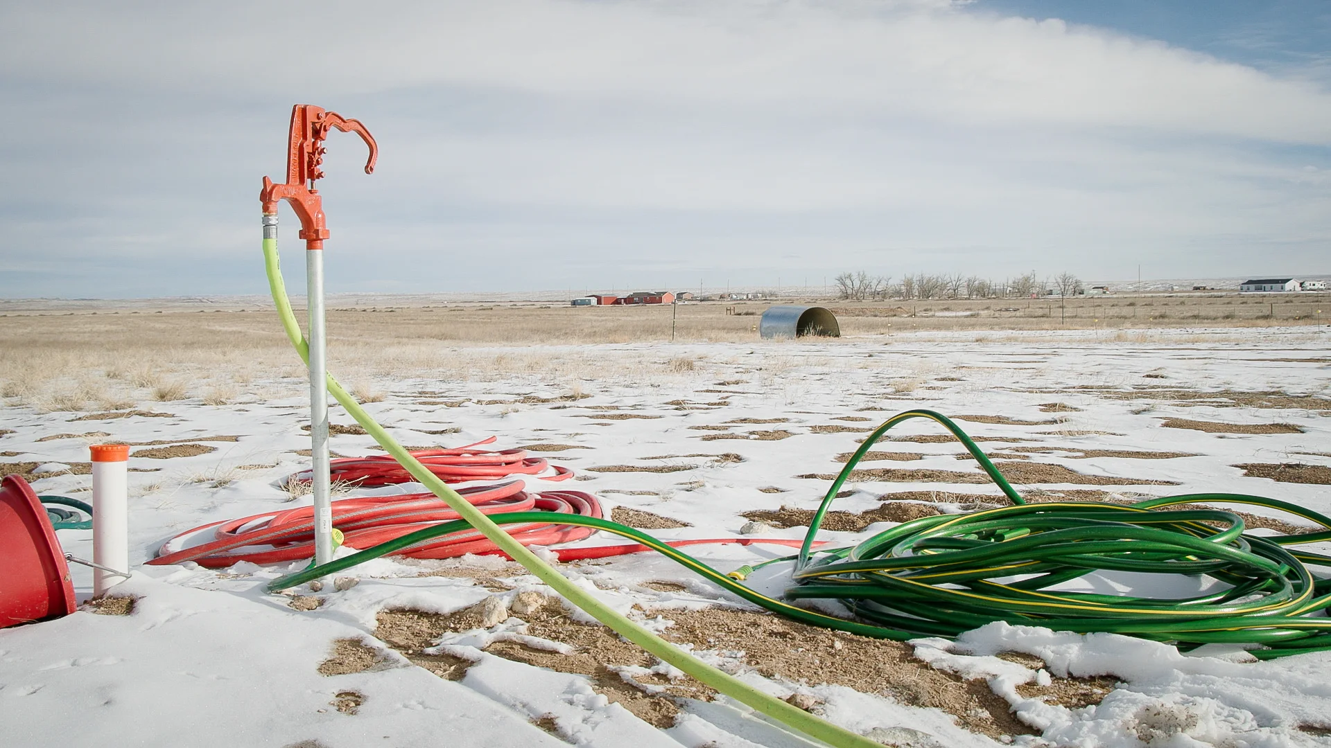 Irrigated crop land was too expensive, so the Wisners dug a well that allows them to water livestock and one acre of crops. Photo: Cormac McCrimmon, Rocky Mountain PBS