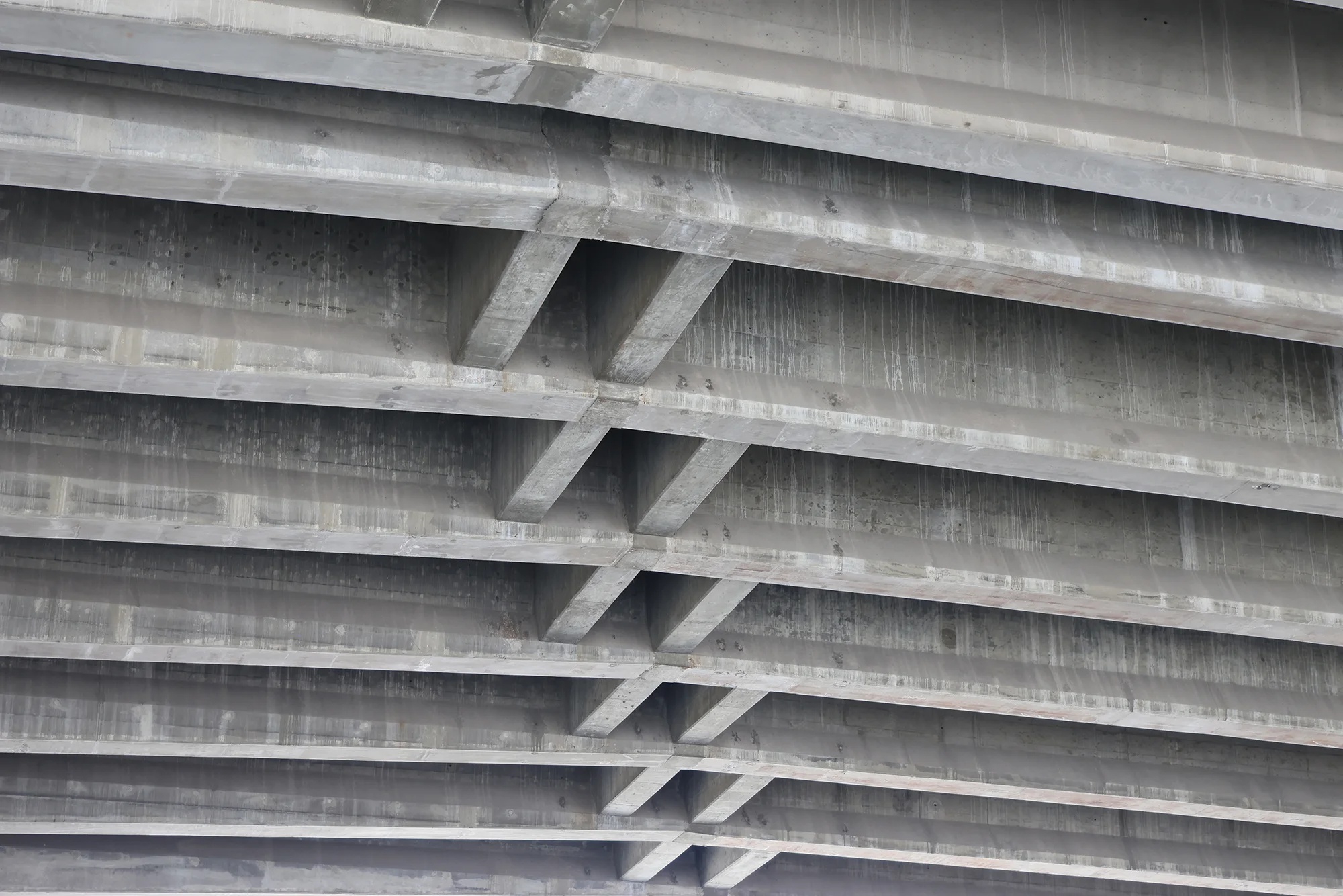 Cars passing overhead were loud, but likely not enough to disrupt the concerts. Photo: Kyle Cooke, Rocky Mountain PBS
