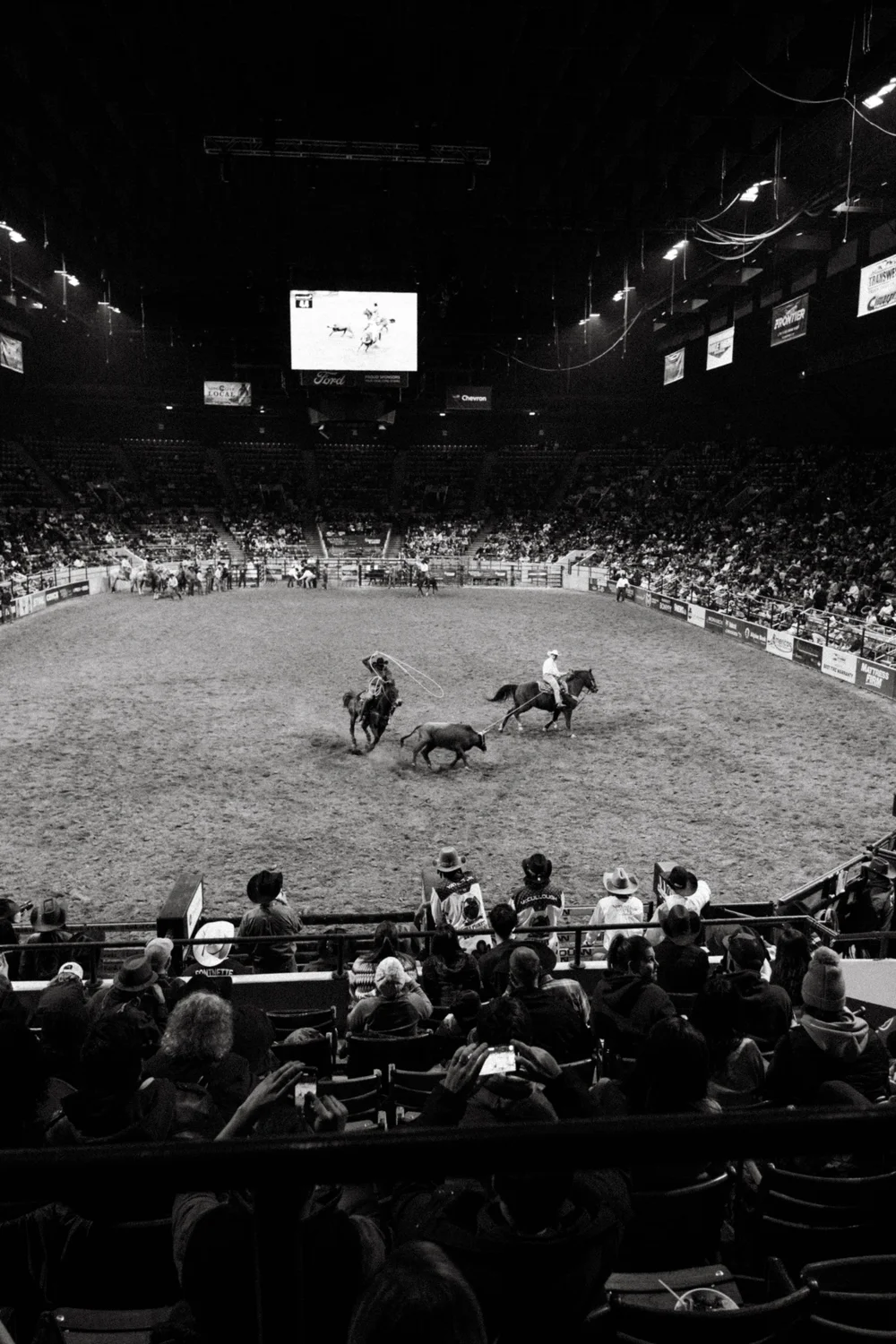 The audience in the coliseum watches the team roping event. Photos: Peter Vo, Rocky Mountain PBS