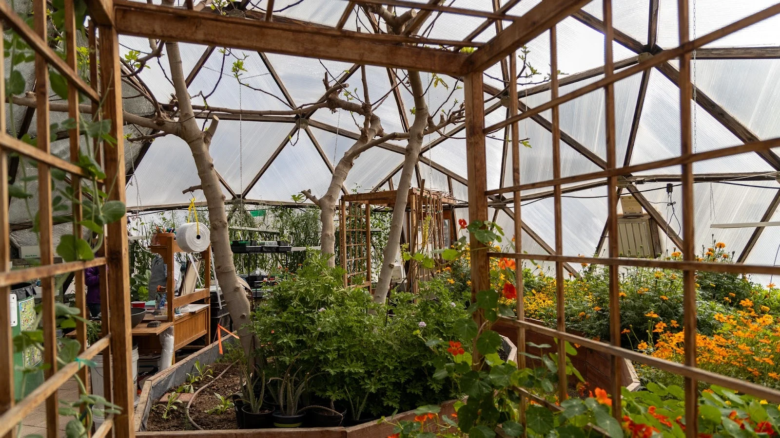 Inside the education dome. Photo: Ziyi Xu, Rocky Mountain PBS