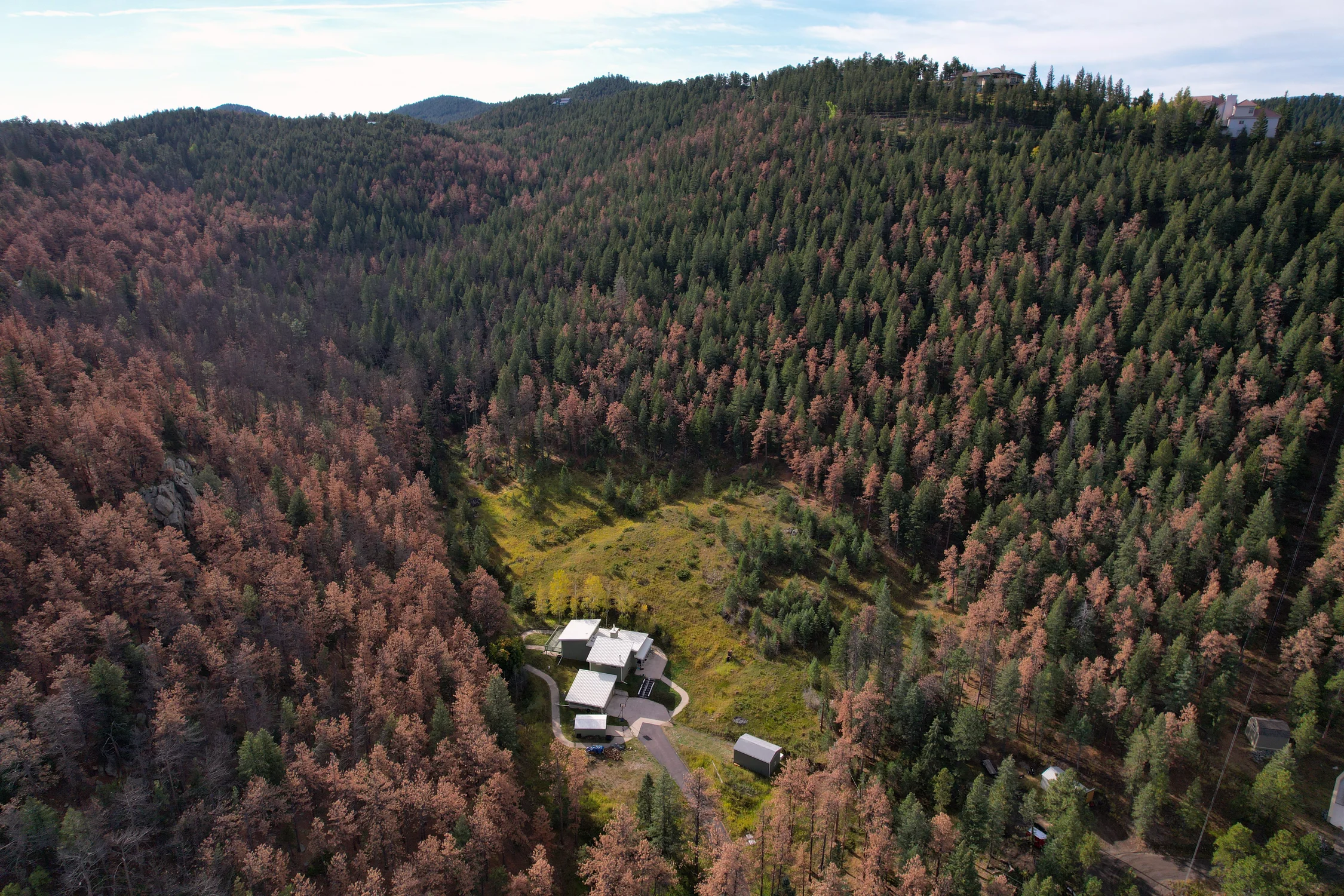 Around 800,000 acres of ponderosa forests are at risk due to the Mountain Pine Beetle outbreak, like this area in Jefferson County taken on Sept. 19th, 2025, during the aerial surveys. The issue is predominantly in the nine-county area on the Front Range (Larimer, Boulder, Gilpin, Jefferson, Clear Creek, Teller, Park, Douglas, and El Paso counties). Photo courtesy Dan West, Colorado State Forest Service