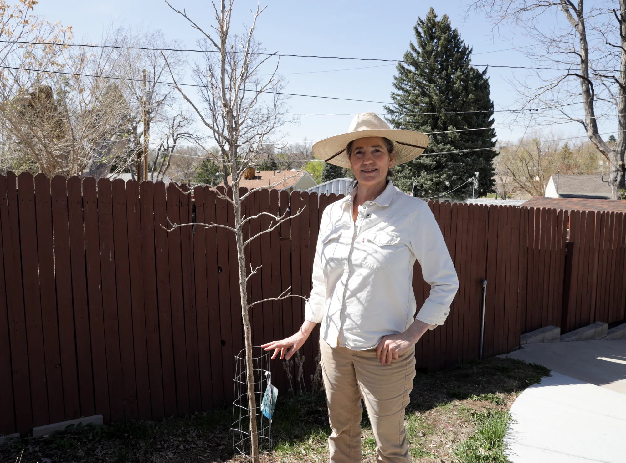 Barnum resident Mary Mouton received a bur oak last year to replace a large tree that used to shade her house and backyard. Photo: Carly Rose, Rocky Mountain PBS
