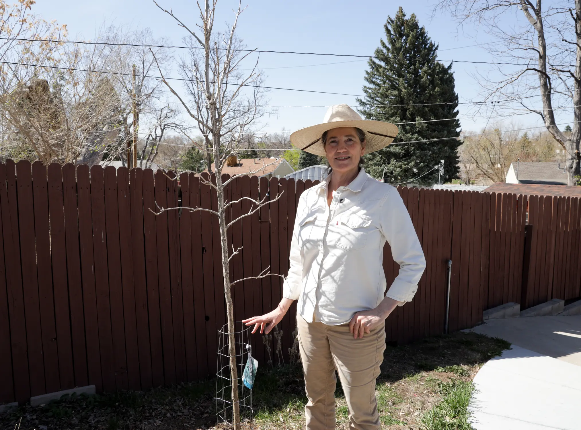 Barnum resident Mary Mouton received a bur oak last year to replace a large tree that used to shade her house and backyard. Photo: Carly Rose, Rocky Mountain PBS