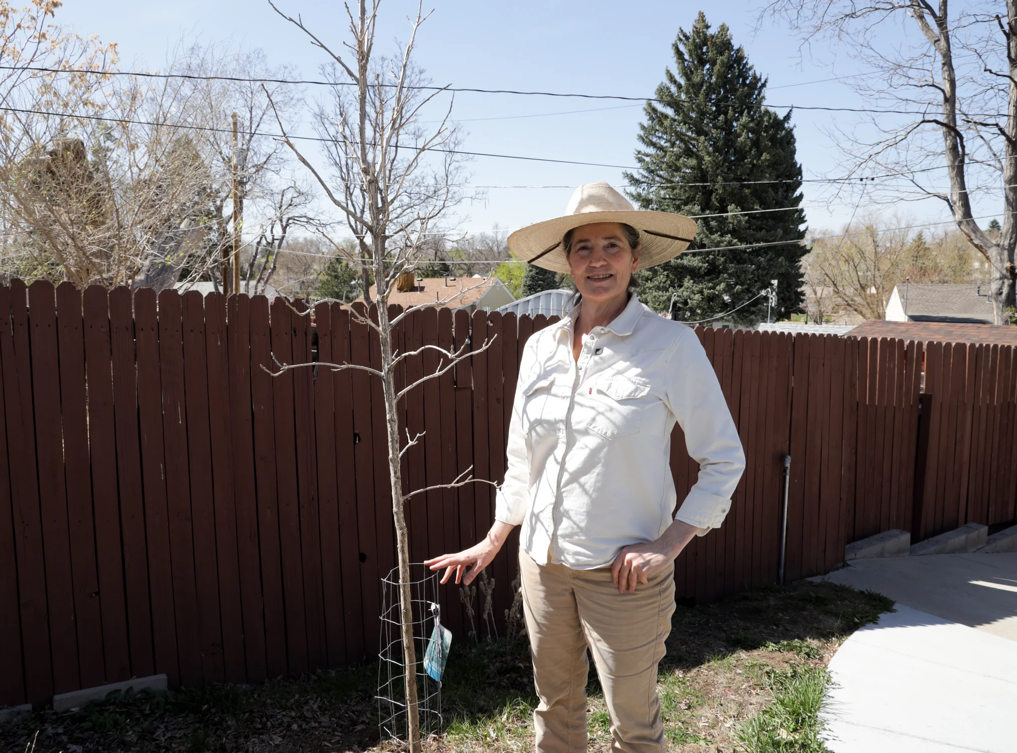 Barnum resident Mary Mouton received a bur oak last year to replace a large tree that used to shade her house and backyard. Photo: Carly Rose, Rocky Mountain PBS