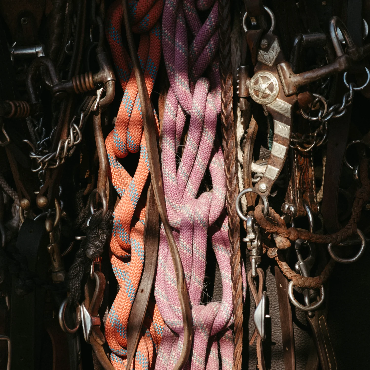 Gear that Wade brings along to every rodeo. Photo: Peter Vo, Rocky Mountain PBS