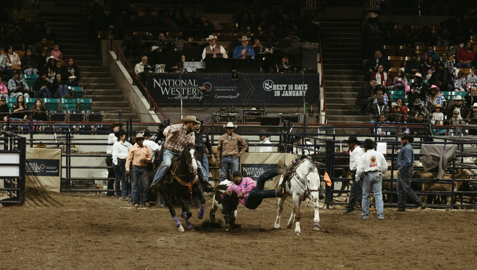 Steer-wrestling was invented by William “Bill” Picket. The event is a staple at rodeos today. Photo: Peter Vo, Rocky Mountain PBS