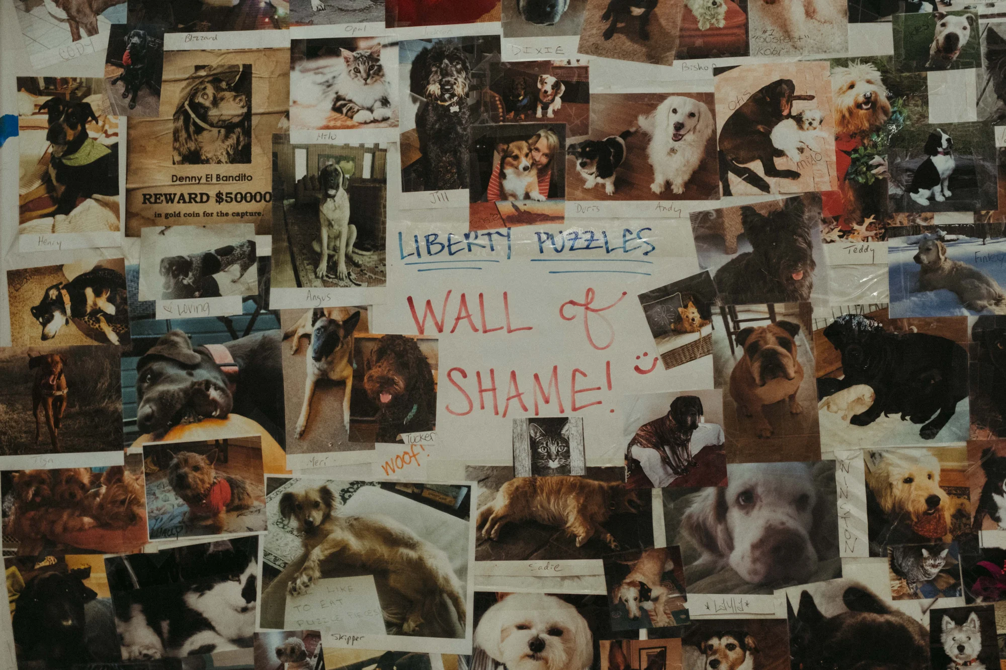 Liberty Puzzles will replace a lost or damaged puzzle piece for free. The only cost of replacement, if a pet is the blame for the damage, is a photo of the perpetrator. These mugshots fill up a wall in Liberty's original factory, called the "Wall of Shame." This replacement policy is why Nili Benson feels comfortable loaning out puzzles from her collection. Photo: Peter Vo, Rocky Mountain PBS