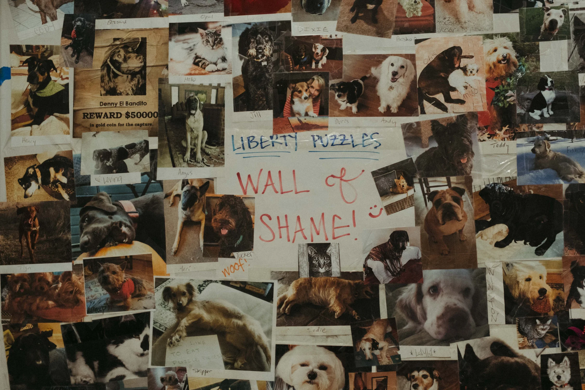 Liberty Puzzles will replace a lost or damaged puzzle piece for free. The only cost of replacement, if a pet is the blame for the damage, is a photo of the perpetrator. These mugshots fill up a wall in Liberty's original factory, called the "Wall of Shame." This replacement policy is why Nili Benson feels comfortable loaning out puzzles from her collection. Photo: Peter Vo, Rocky Mountain PBS