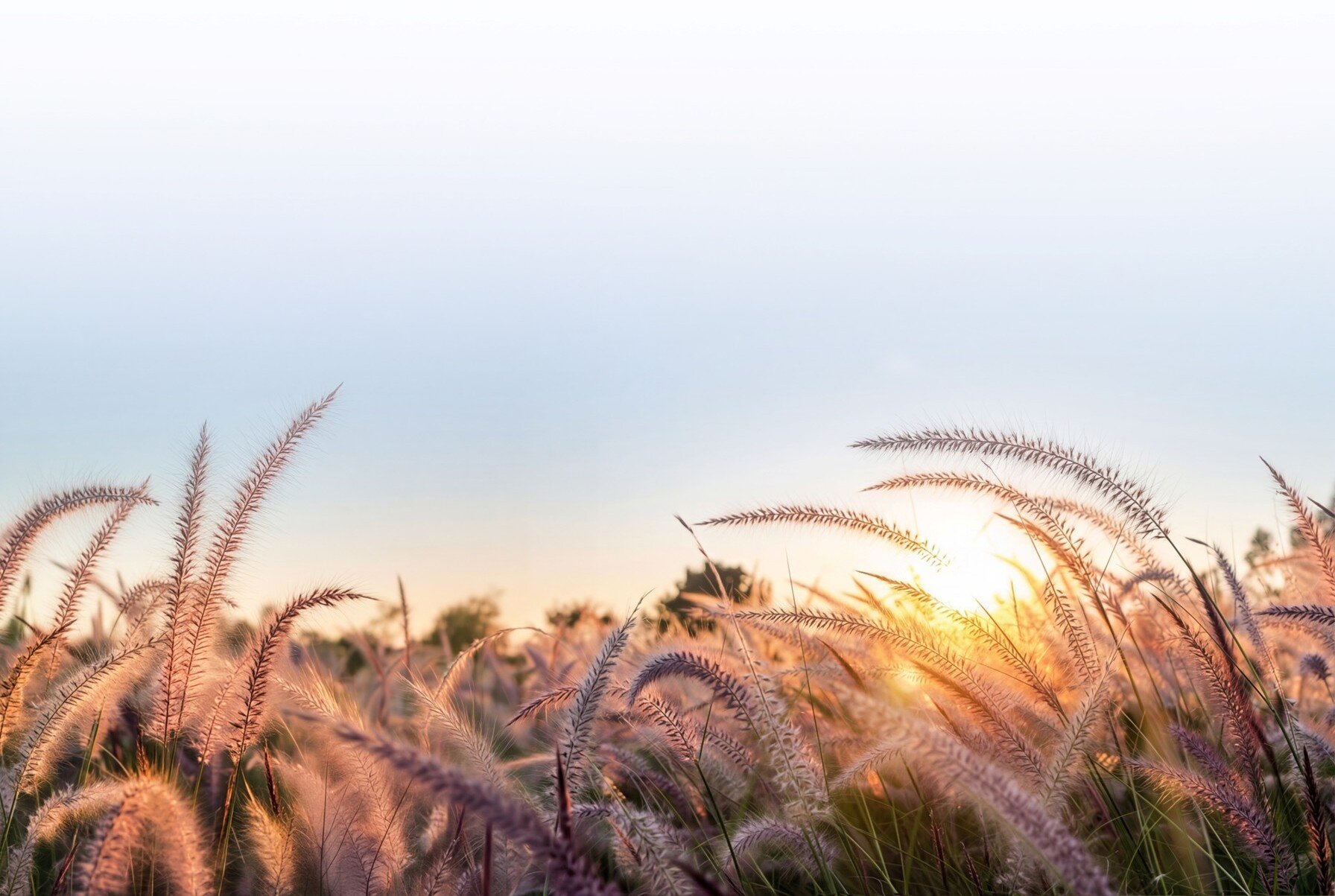 Tytex_medical garments and textiles