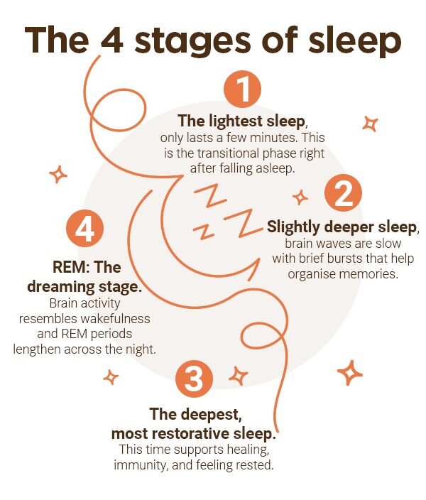 The 4 stages of sleep