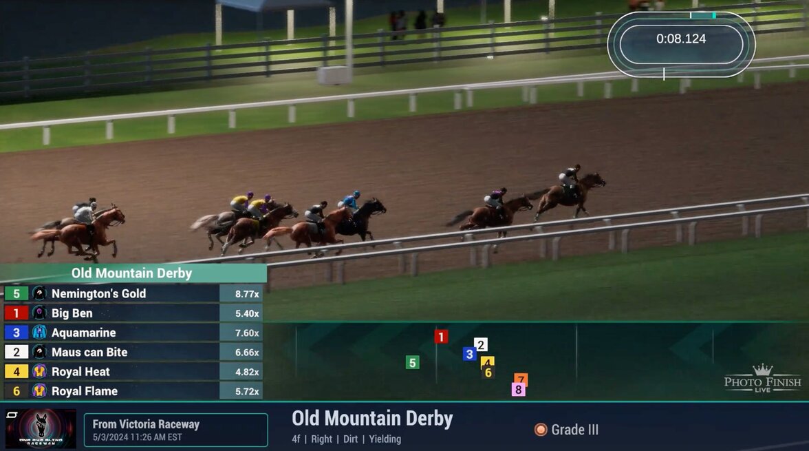 A screenshot of a virtual horse racing game, Photo Finish Live. Computer-generated horses are running on a virtual version of Victoria Raceway.