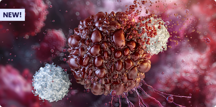Bethyl Recombinant Monoclonal Antibodies Banner Image