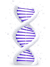 Sequence-Defined Identity