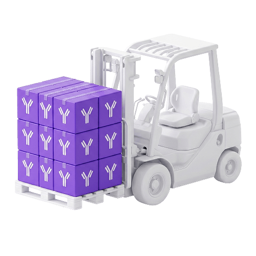 White forklift carrying a pallet stacked with nine purple boxes each printed with a white Y-shaped antibody icon.