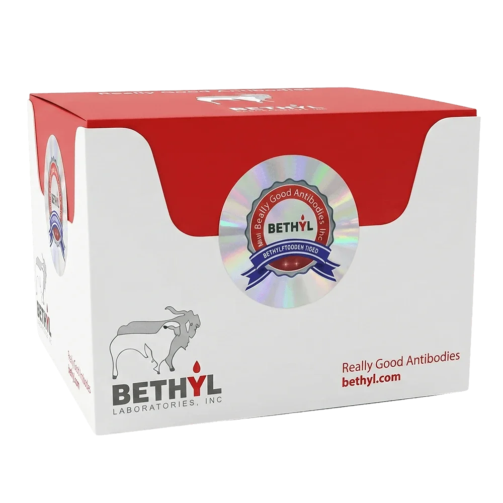 Red and white Bethyl Laboratories box with a holographic seal, goat logo, and Really Good Antibodies bethyl.com on the front.