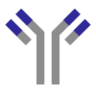 Antibody icon