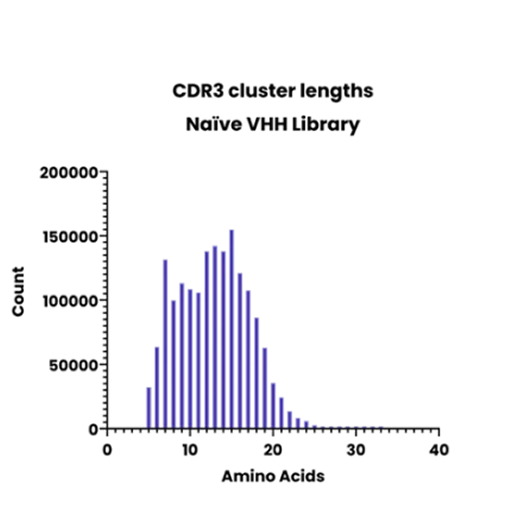 Histogram of CDR3 cluster lengths in a naïve VHH nanobody library showing amino acid length distribution.