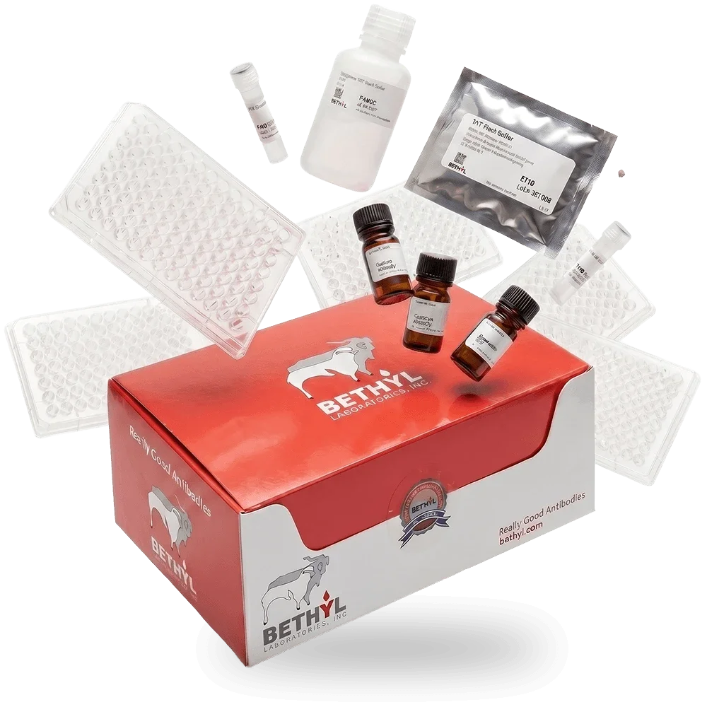 Bethyl Laboratories ELISA kit box with antibody vials, microplates, wash buffer bottle, and TNT flush buffer packet floating around it.