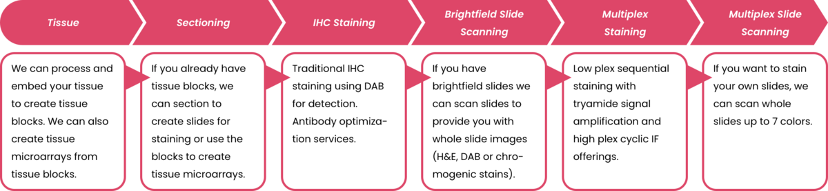 Workflow graphic showing steps: Tissue processing, Sectioning, IHC staining, Brightfield slide scanning, Multiplex staining, and Multiplex slide scanning.
