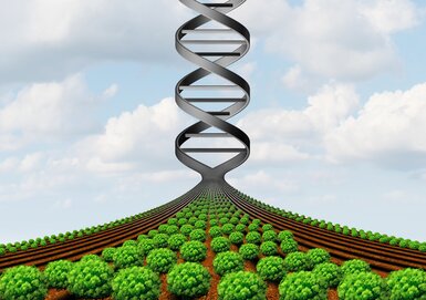Visual depicting a DNA double helix alongside vibrant crops, emphasizing the role of molecular reagents in enhancing agricultural biotechnology research.
