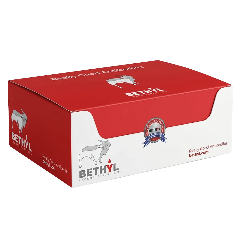 Red and white Bethyl Laboratories product box labeled "Really Good Antibodies" with the Bethyl logo and bethyl.com printed on the sides.