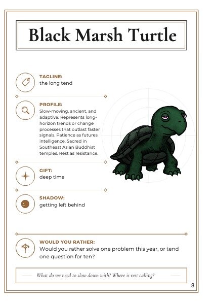 Project Result Preview - Black Marsh Turtle - The One Who Carries the Ancestors
