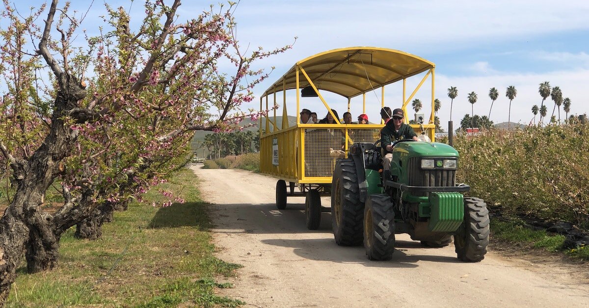 A tractor pulls farm workers through a crop in one of CA's Central Valley markets
