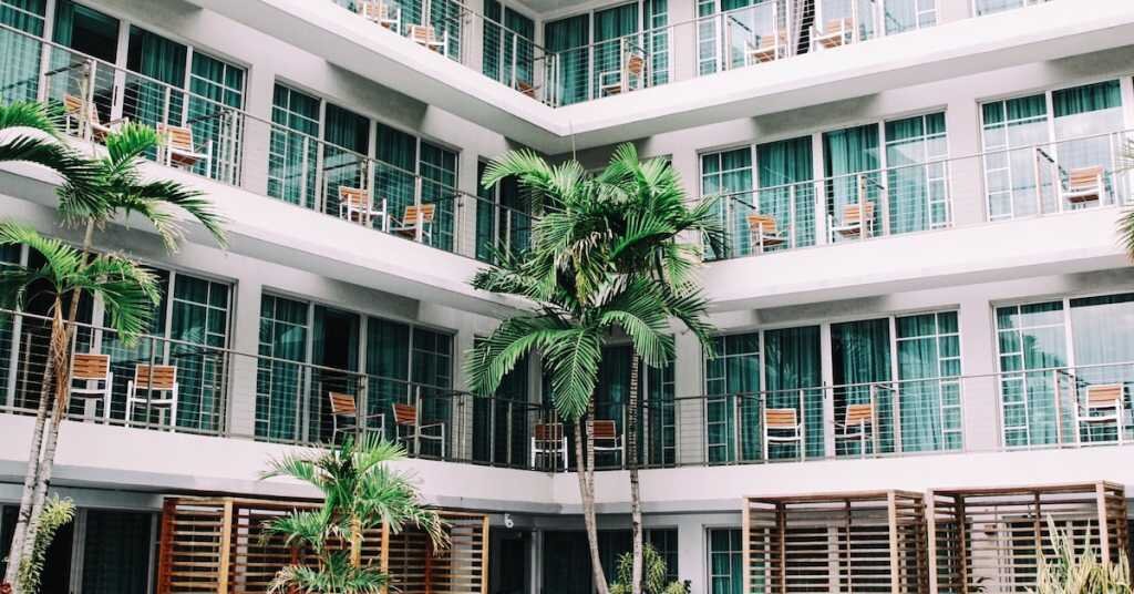 a palm tree stands tall amid hotel room balconies
