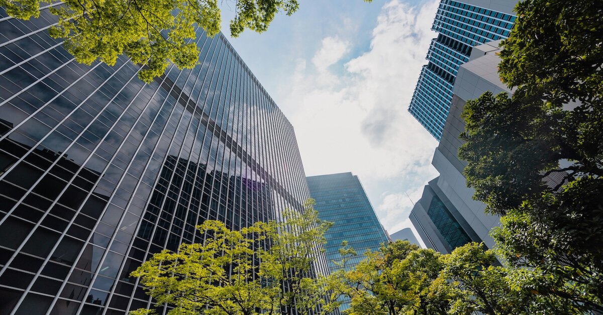 tall skyscrapers framed in the photo by green trees