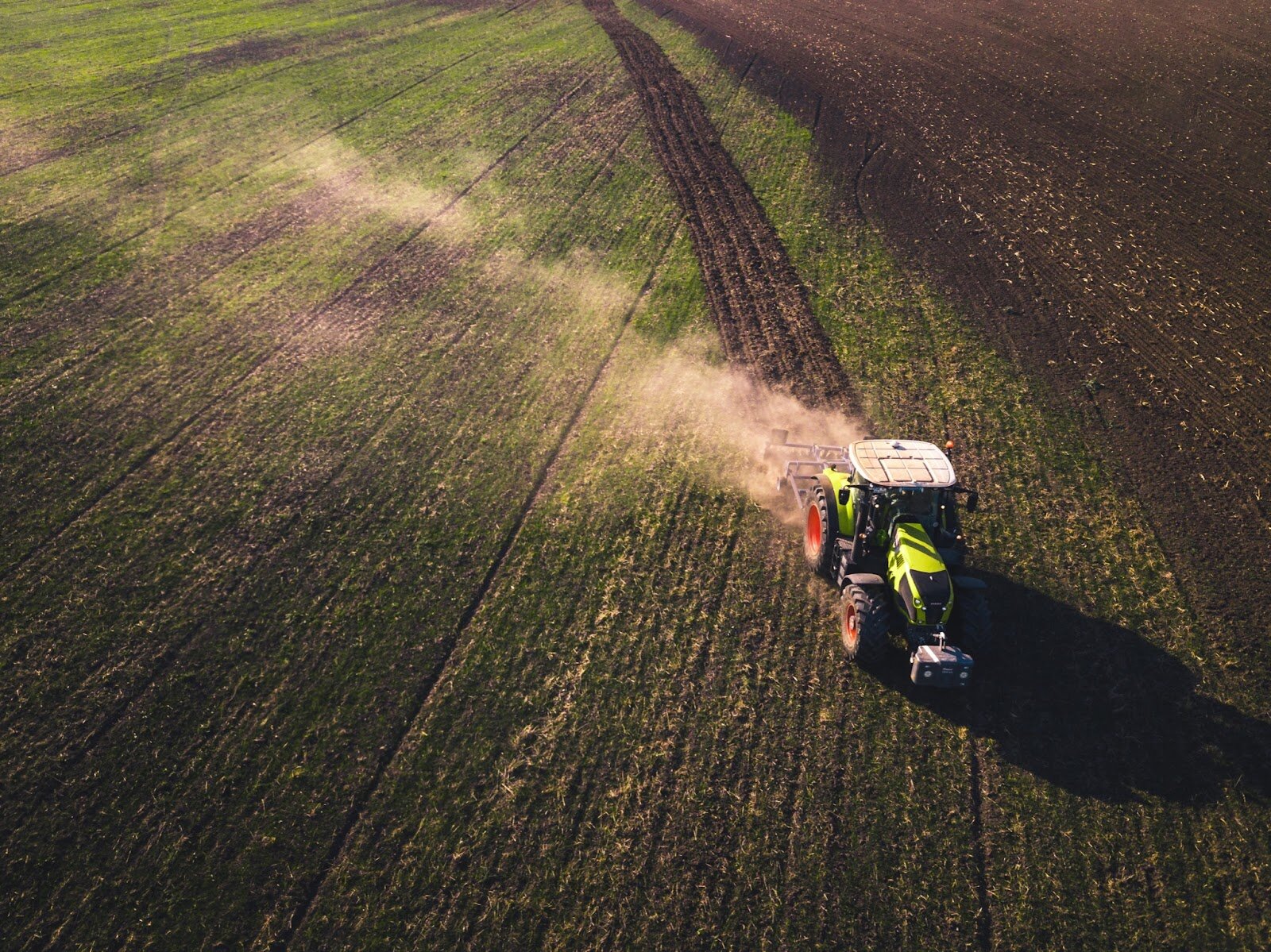 a tractor is clearing land on a plot