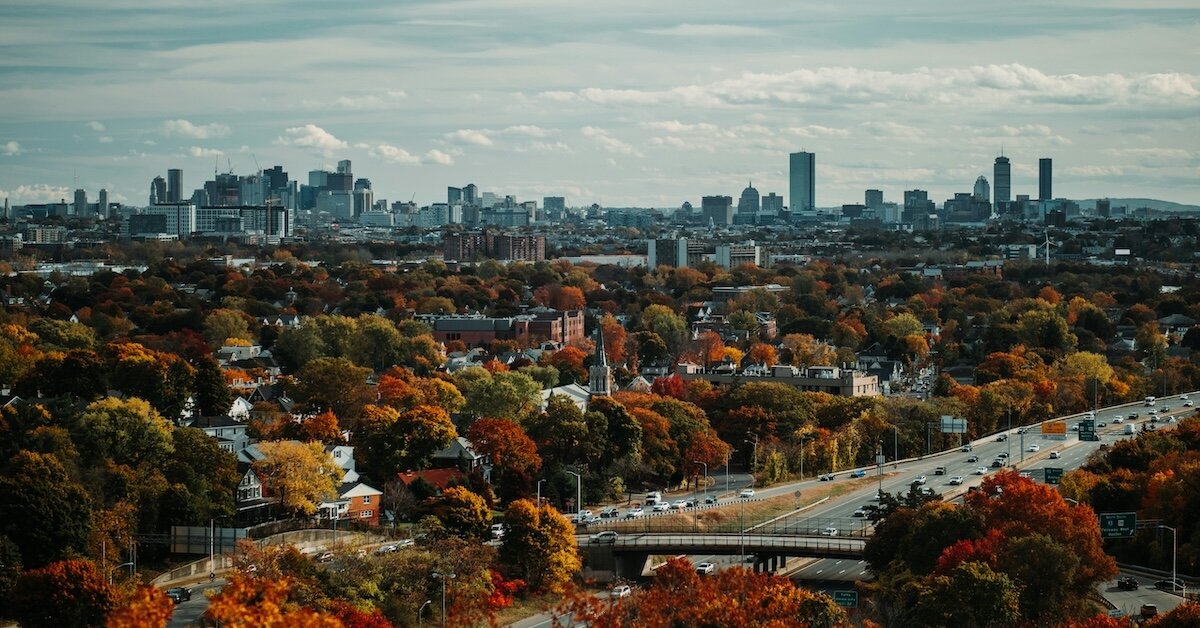 Autumn leaves in the foreground of a downtown part of a city