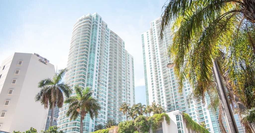 A view of downtown Miami buildings with a palm tree in the foreground 
