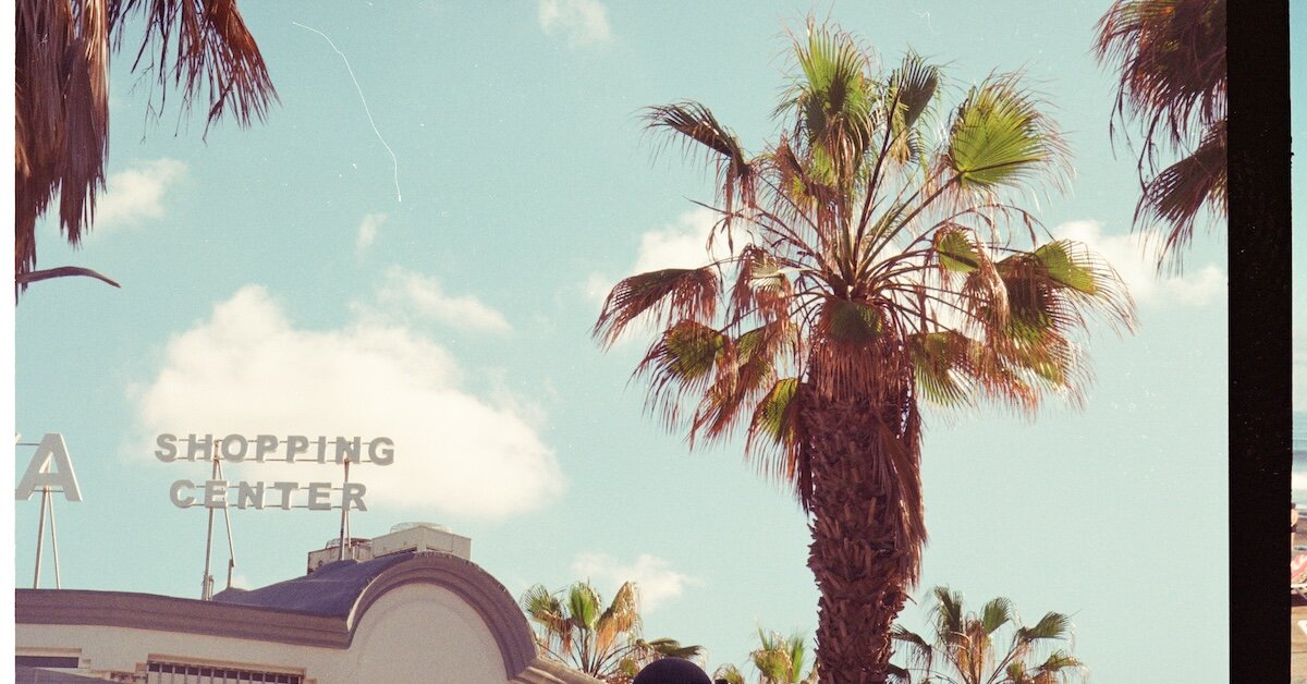 A palm tree in the foreground of a shopping center