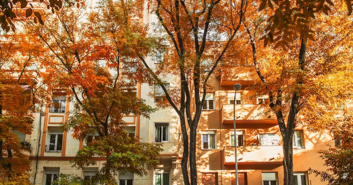 Autumn leaves frame a multifamily building