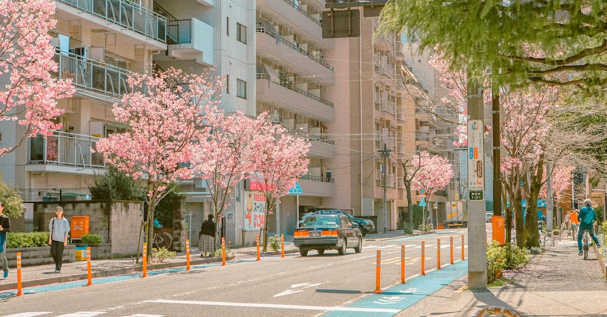 A city street lined with blooming cherry blossom trees and pedestrians walking by