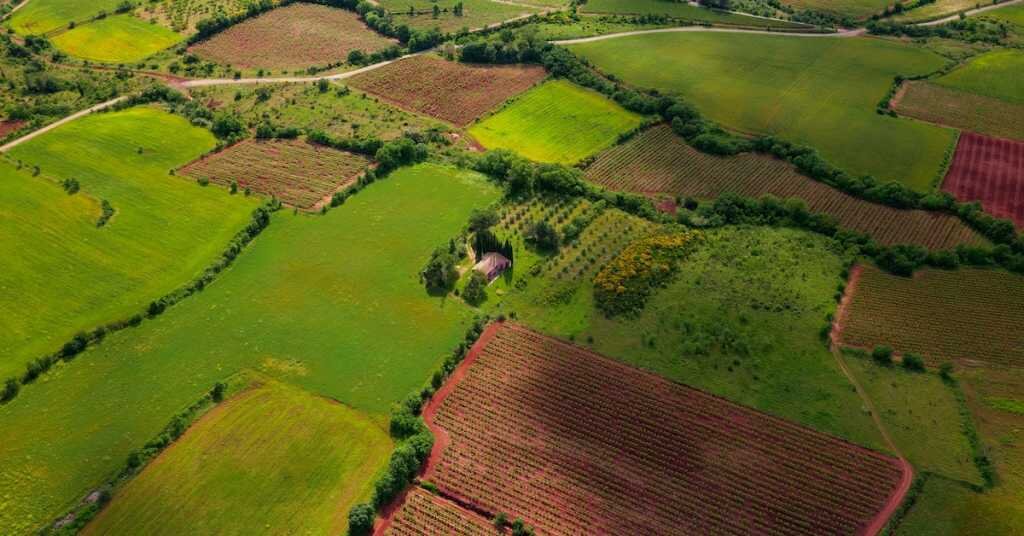 a birds-eye view of agricultural land plots