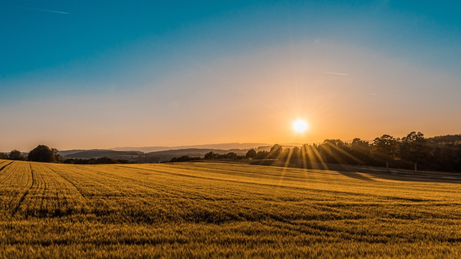 the sun sets behind a huge stretch of vacant land