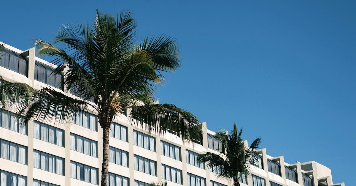 A palm tree in the foreground of a multi-room hotel