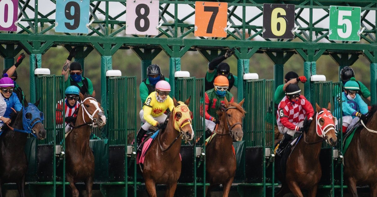 Horse racing tracks are one of several sports entertainment properties in Tampa