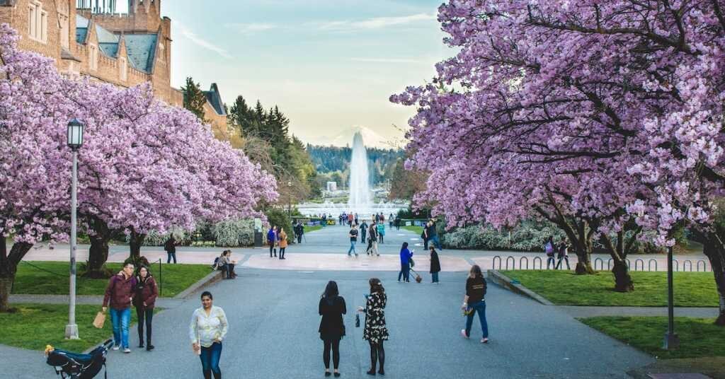 People walking around a park in Seattle in springtime