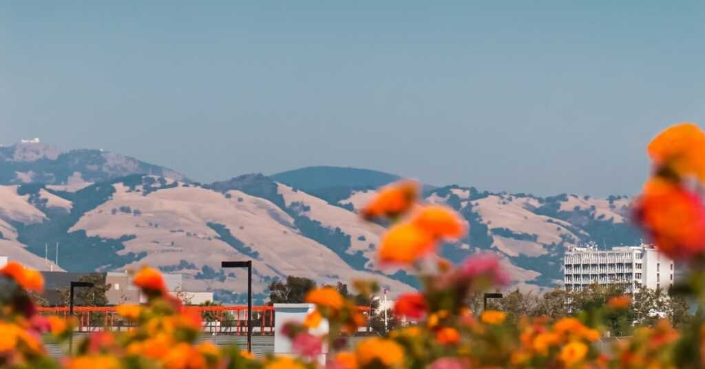 Nearby mountains to San Jose are in the background and frame the city with orange poppies in the foreground