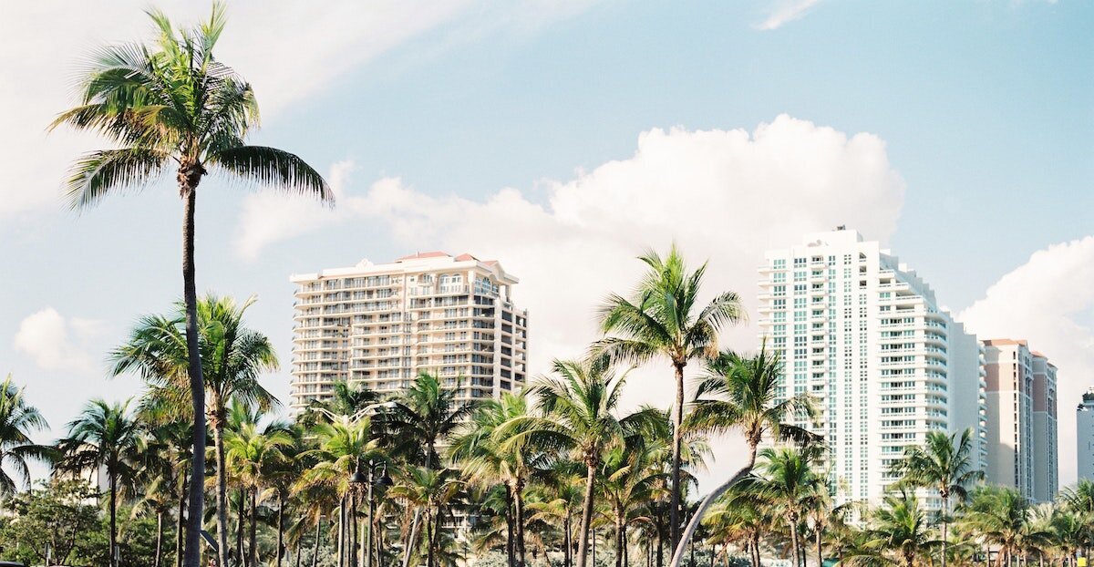 Downtown Miami with palm trees in the foreground