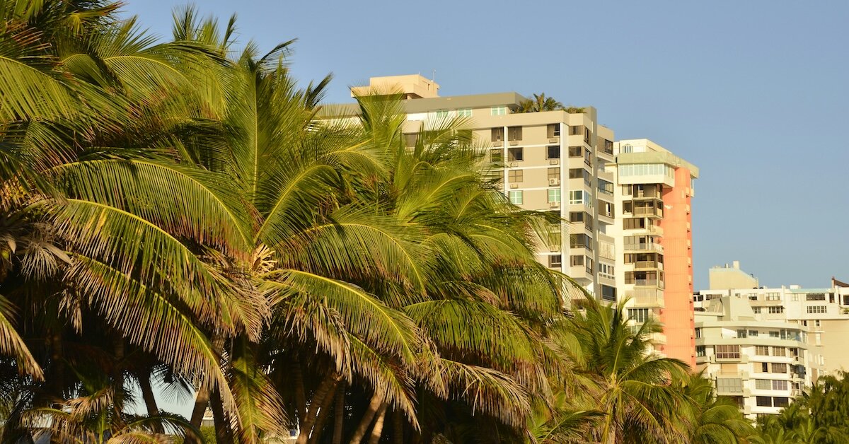 hotel buildings hidden behind tropical palm trees