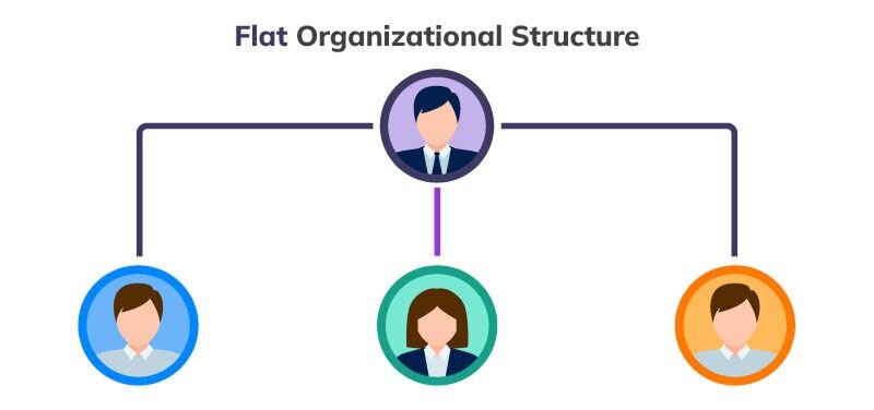 Organization structure diagram showing a flat hierarchy