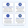 Gundry MD Total Restore benefits
