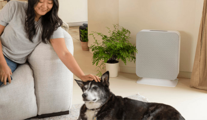 Gundry Your Health Magazines