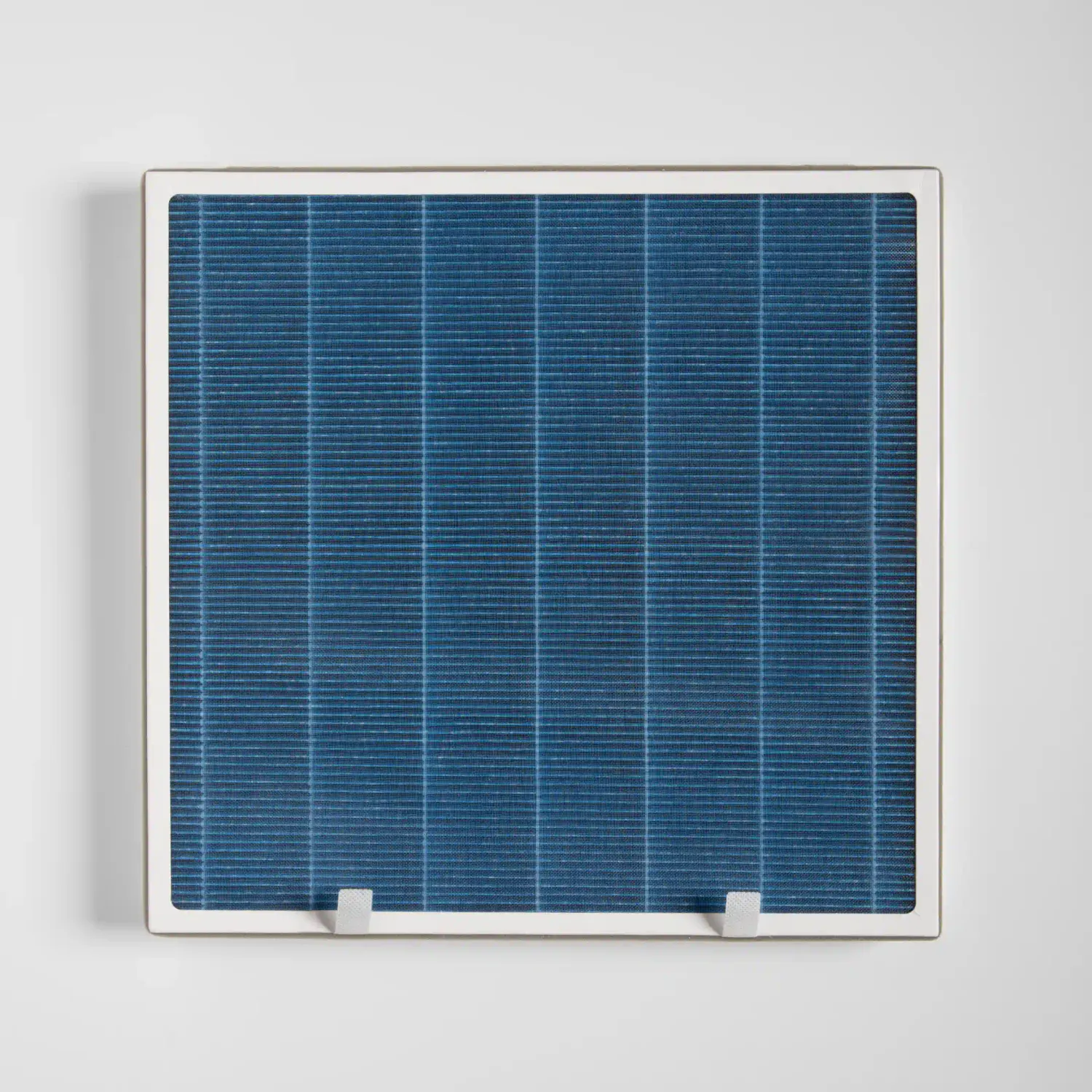 Red Superfruit Polyphenol Blend