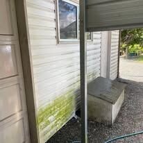 Siding before cleaning