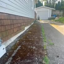 Driveway before cleaning